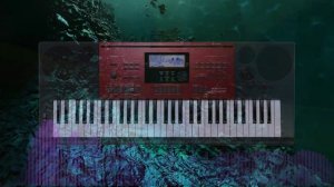 CASIO CTK-6250 Demo Song - DEMO TUNE 5.mp4