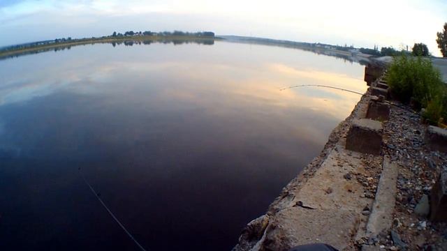 Рыба на Прикормку