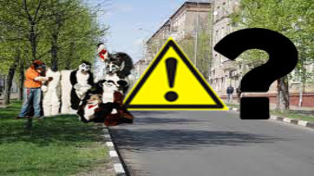 ЧЕМ ОПАСНЫ ФУРРИ?