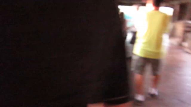 Бегемот под водой. В парке развлечений "Бушгарден" Тампа Флорида США- крупно, средне, вдох, поворот смотреть онлайн