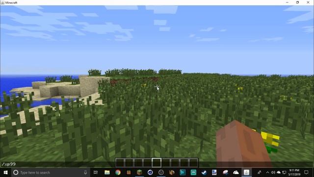 Evolution of Minecraft java edition ("Cave Game" to "Village and Pillage"/ 2009-2019) смотреть онлайн