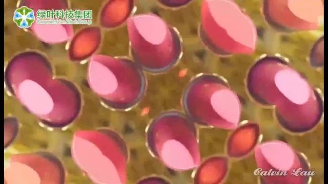 Губная помада Greenleaf Sealuxe смотреть онлайн