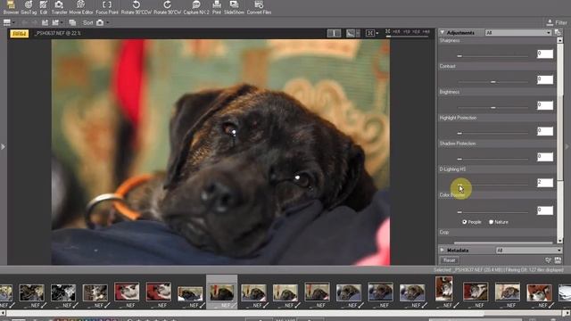 Using ViewNX2 to recover an under exposed RAW (NEF) file смотреть онлайн
