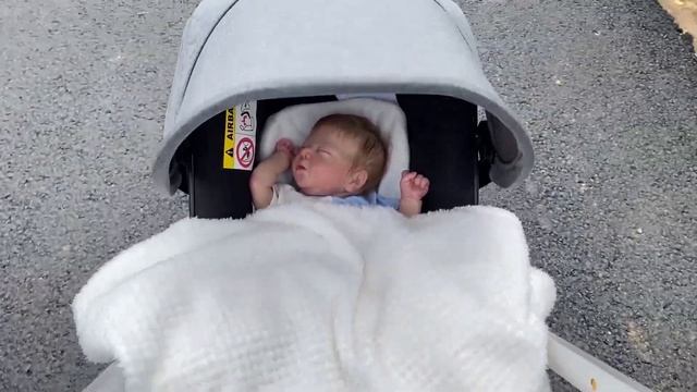 ПРОГУЛКА С РЕБОРНОМ В КОЛЯСКЕ #rebornbaby #реборн #куклареборн