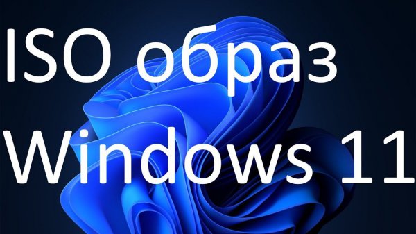 Как скачать ISO образ Windows 11 с официального сайта Microsoft ?