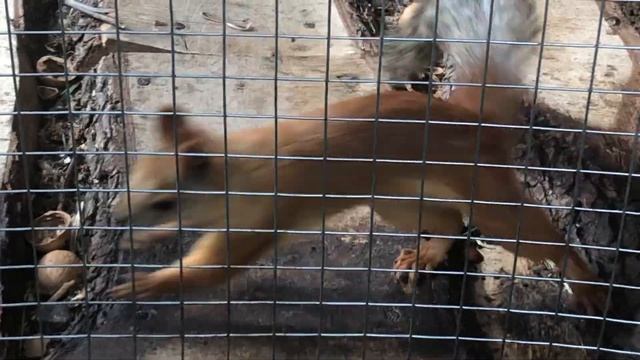 Райский берег/Уфа/ смотреть онлайн