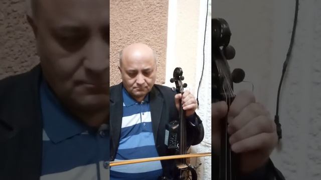 Королёк Птичка Певчая #Фериде Чаликушу. Choliqushi. Feride Timur Ziyayev violin cover смотреть онлайн