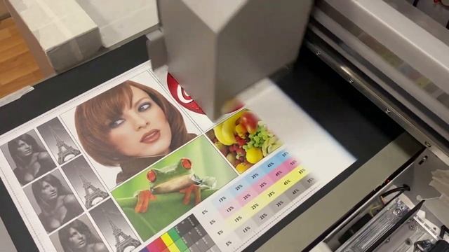 УФ принтер FS-4060 XP600 с двумя печатающими головкой Epson XP600 (DX11) смотреть онлайн