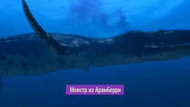 Научный разбор 