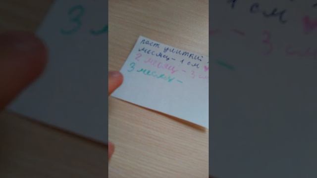 Делаем паспорт для улитки смотреть онлайн