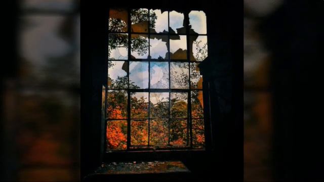 Alain Souchon Foule Sentimentale смотреть онлайн