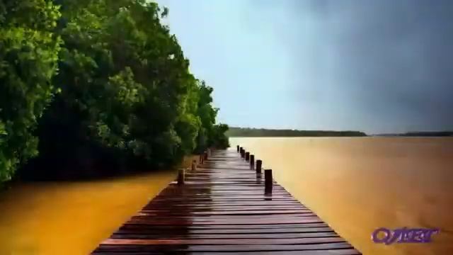 Королева моих снов смотреть онлайн