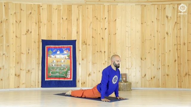 Общеукрепляющий комплекс для начинающих смотреть онлайн