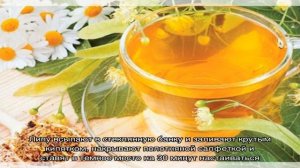 Полезные свойства цветков и листьев липы. Как заваривать липу при простуде?