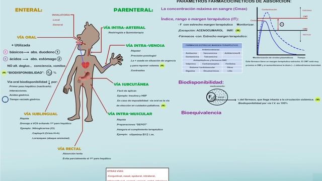 TEMA 1: FARMACOCINETICA: Absorción y vías de administración. #Farmacología смотреть онлайн