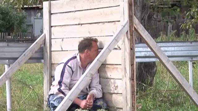 Умные собаки Назарово смотреть онлайн