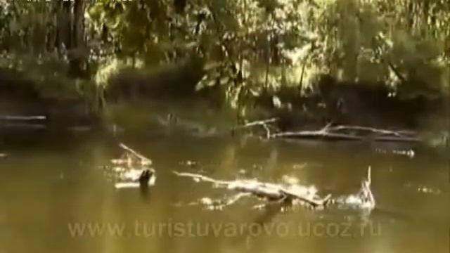 Водный туризм. смотреть онлайн