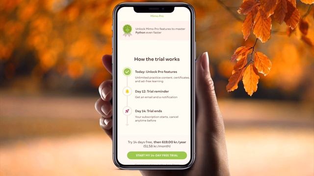 Learn to Code Python On A iPhone смотреть онлайн