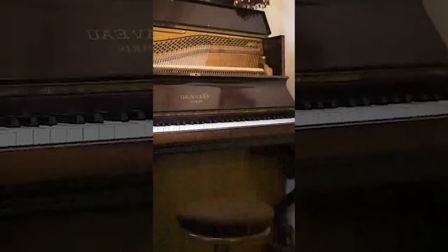 🐈 Cat on Piano by François Vogel смотреть онлайн