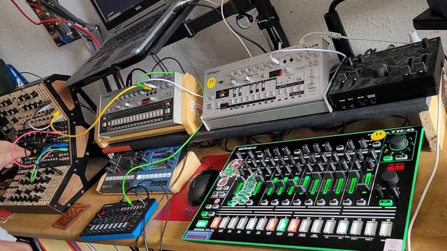 Roland J-6, TR 8, TR 06, TB 03, Moog DFAM & 1010music Bluebox смотреть онлайн