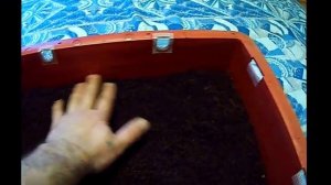 Червь Дендробена Венета.Какой ящик выбрать.Разведение..Червь для рыбалки.Дождевой червь.