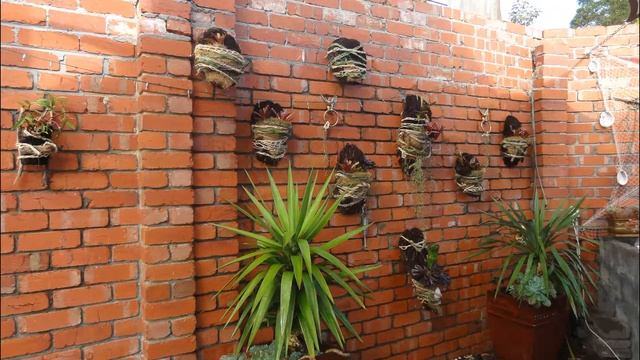 Backyard garden design. Пудренница ЛЮФ. Мистика винтажной броши. Часть 18 смотреть онлайн