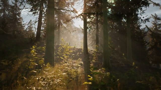 Morels: The Hunt - 2023 Trailer смотреть онлайн