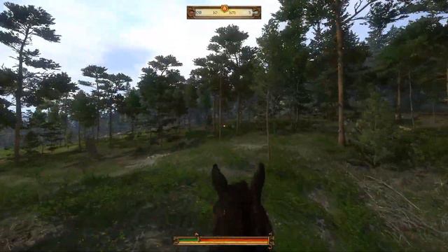 Kingdom Come: Deliverance. Часть 37 - Птичка-невеличка. Старая карта IV смотреть онлайн