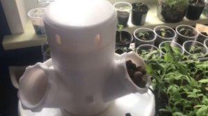 Система модульной вертикальной гидропоники РОСТ1