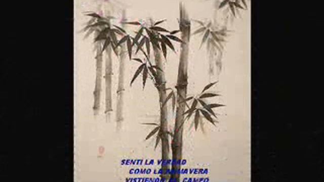 HAIKUS ...AMIGOS ... 2009