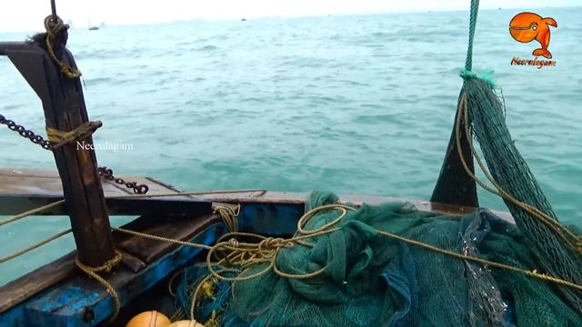 TRAWL NET FISHING смотреть онлайн