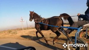 Ваня пласто