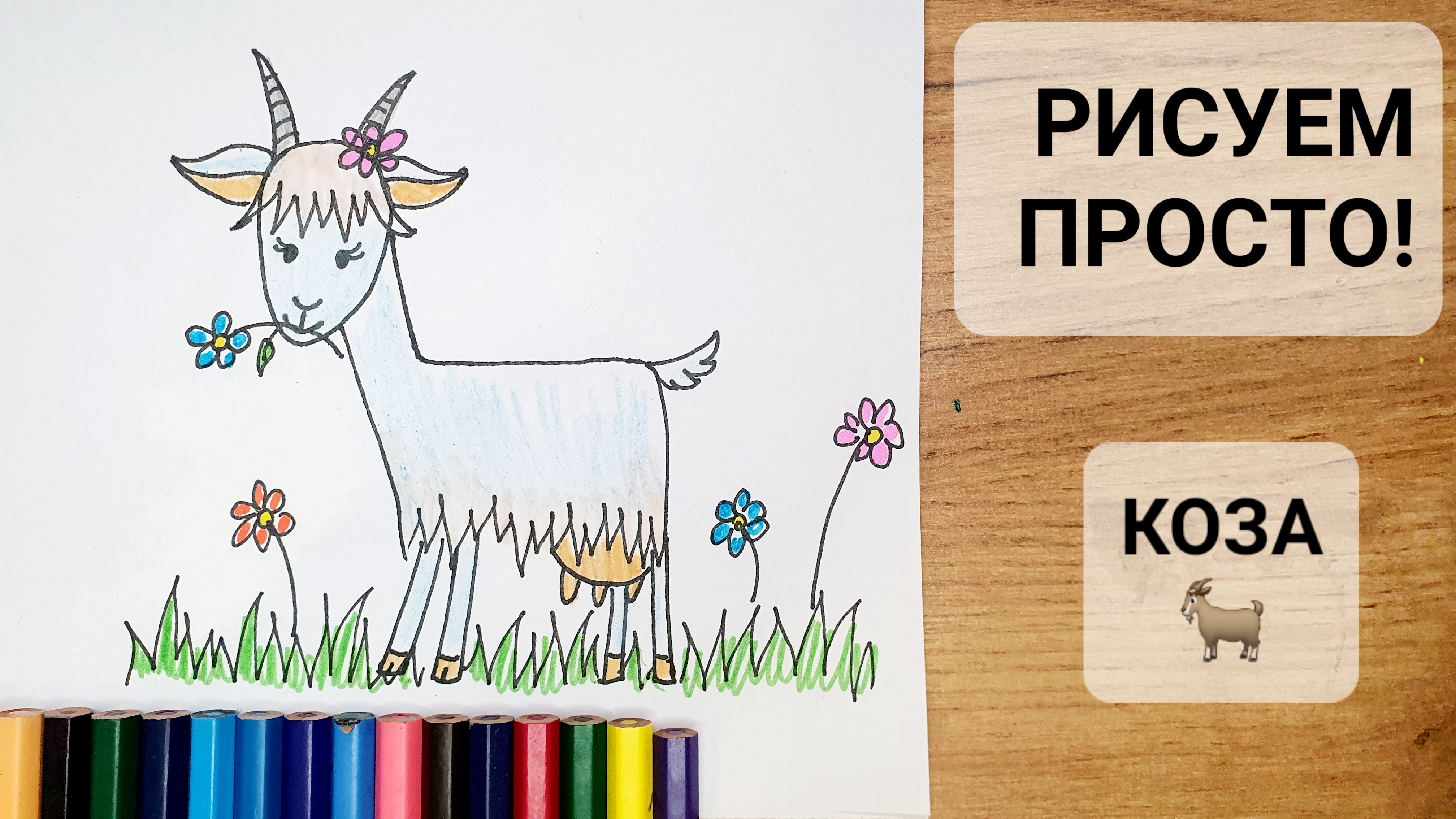 Простые рисунки КОЗА смотреть онлайн