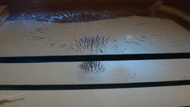 Магнитное поле и железная стружка смотреть онлайн