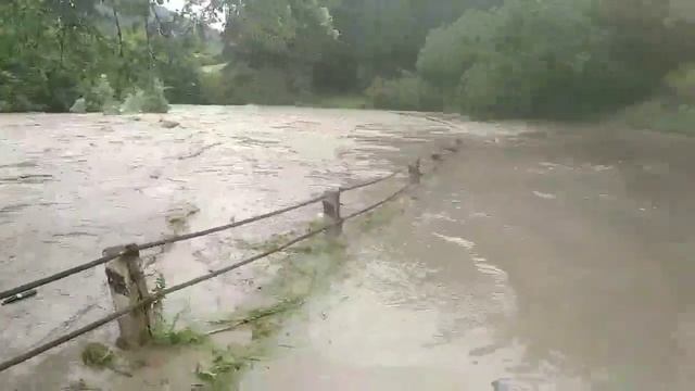 Вільховатий кутний в сторону Мукачева Повінь 23 06 2020 від Mike Majers смотреть онлайн