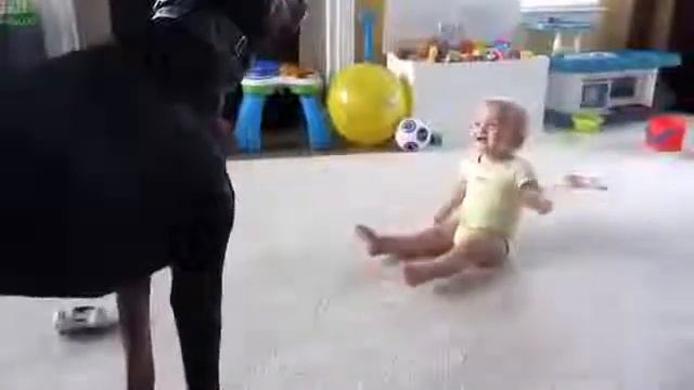 Приколы про детей, дети с животными 2014.