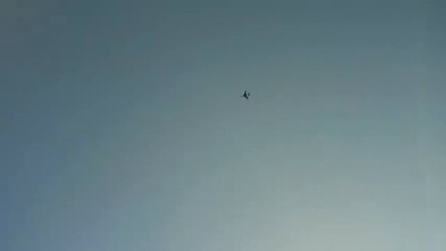 1-31-2012 Flycat- Maiden.wmv смотреть онлайн