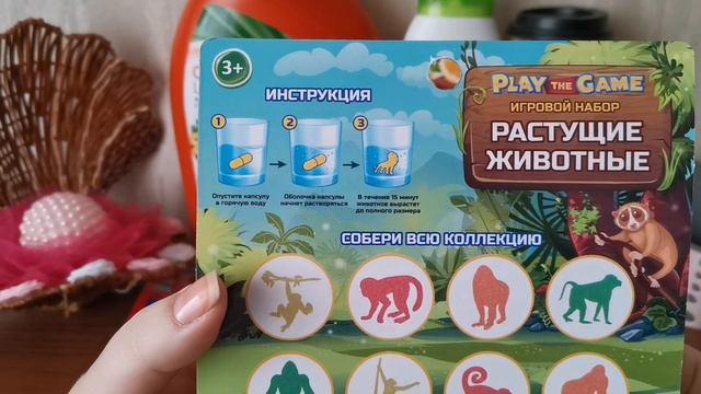Покупки в Фикс прайсе и в Галамарте смотреть онлайн