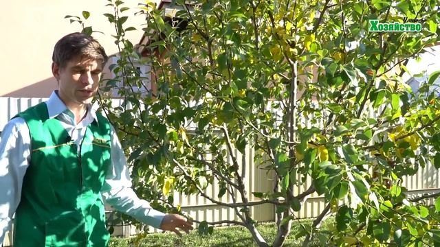 Эффективная подкормка под сад осенью на зиму! Минеральные удобрения. смотреть онлайн