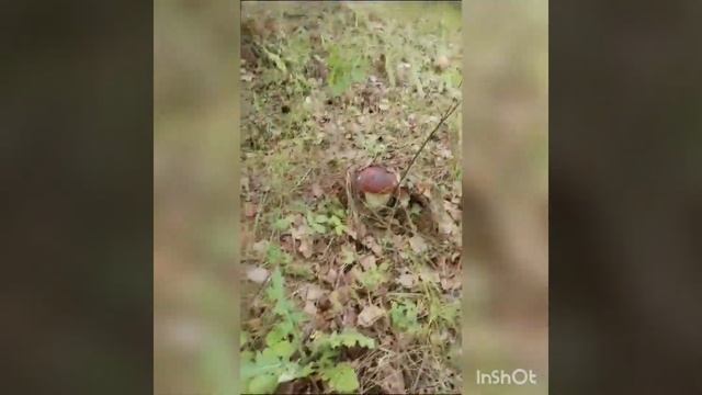 э та греб :O смотреть онлайн