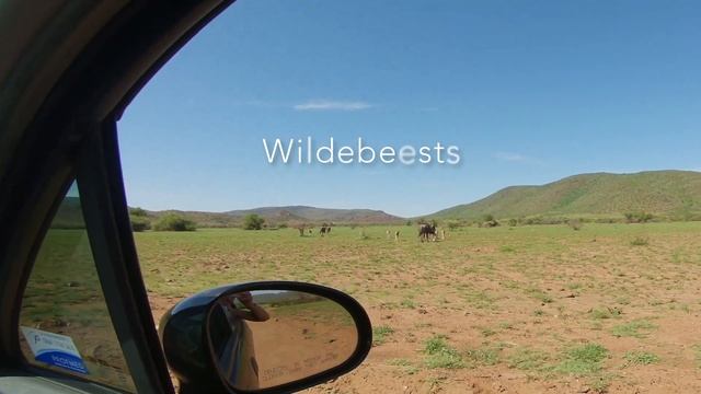 Pilanesberg day trip 27 Dec 2018 смотреть онлайн