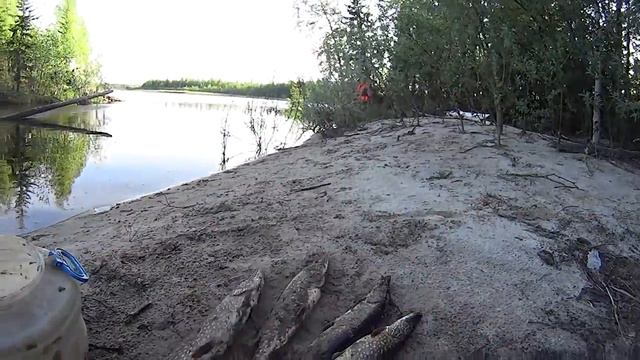 Рыбалка на Пяко-пуре смотреть онлайн