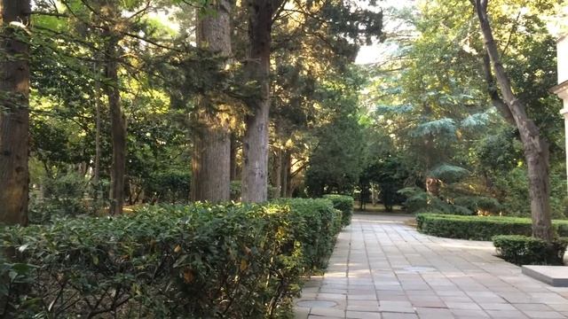 КРЫМ - 2018 ПАРТЕНИТ ВОЕННЫЙ САНАТОРИЙ КРЫМ СОЛОВЕЙ , ПРИРОДА