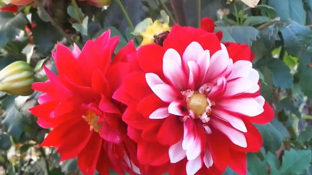 Андрей Оршуляк. Скоро лето, господа! смотреть онлайн