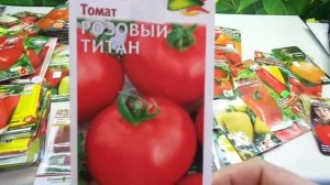 КАКИЕ ТОМАТЫ ВЫБРАТЬ? СОРТ РОЗОВЫЙ ТИТАН. Обзор Ольги Черновой.