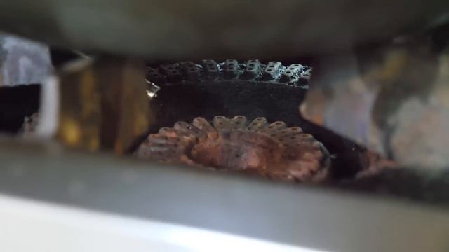 매일 600인분 끓이는 라멘! 4년 연속 미슐랭 / Best Ramen! Michelin Star - Korean Street Food