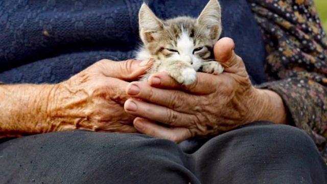 Она не была в Эмиратах..."Стих" Веры Бутко смотреть онлайн
