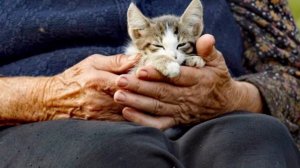 Она не была в Эмиратах..."Стих" Веры Бутко