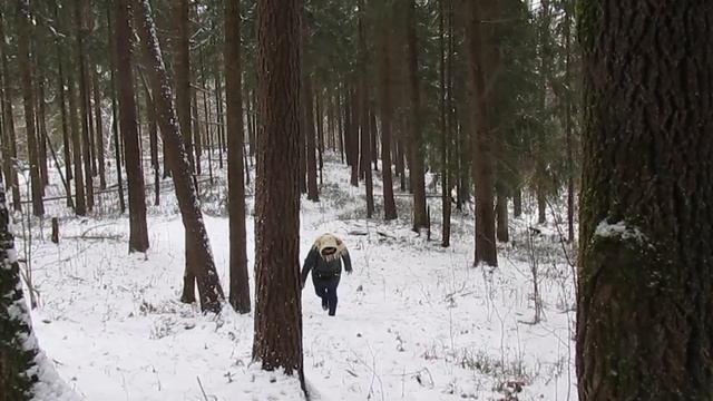 НОВОГОДНЯЯ СКАЗКА "УКРАДЕНОЕ ПОЗДРАВЛЕНИЕ"/семья даниловых смотреть онлайн