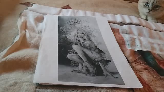 Проект по авторской схеме от Иволги "Виктория" отчет 63 смотреть онлайн